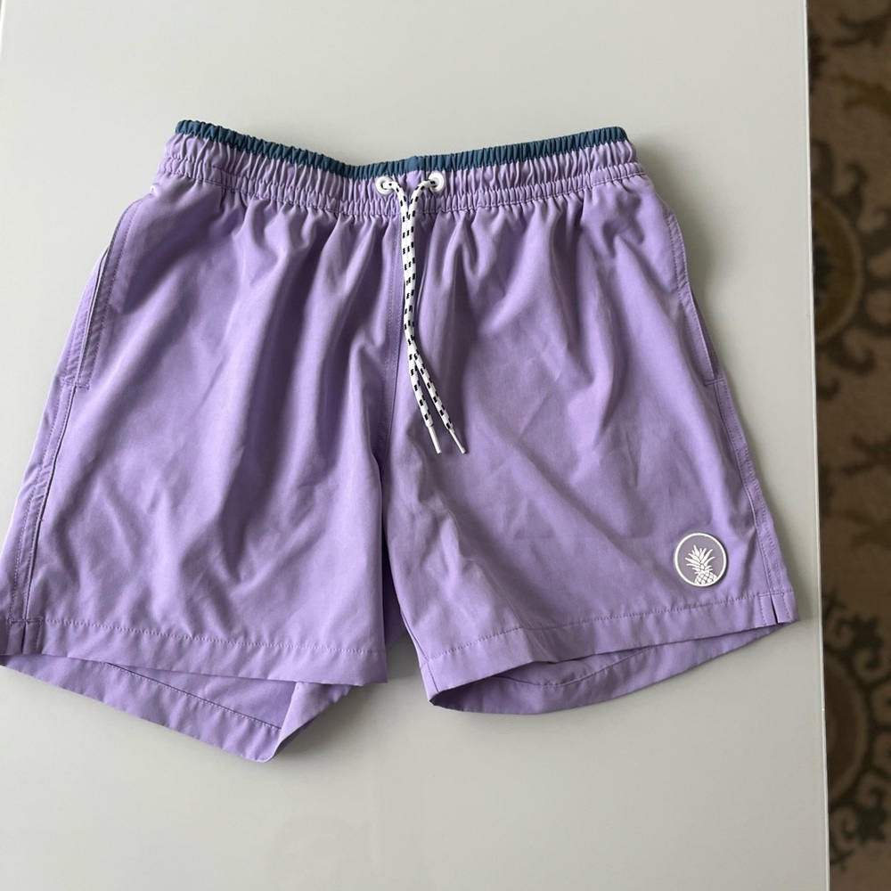 Purple Chubbies Swimming Shorts